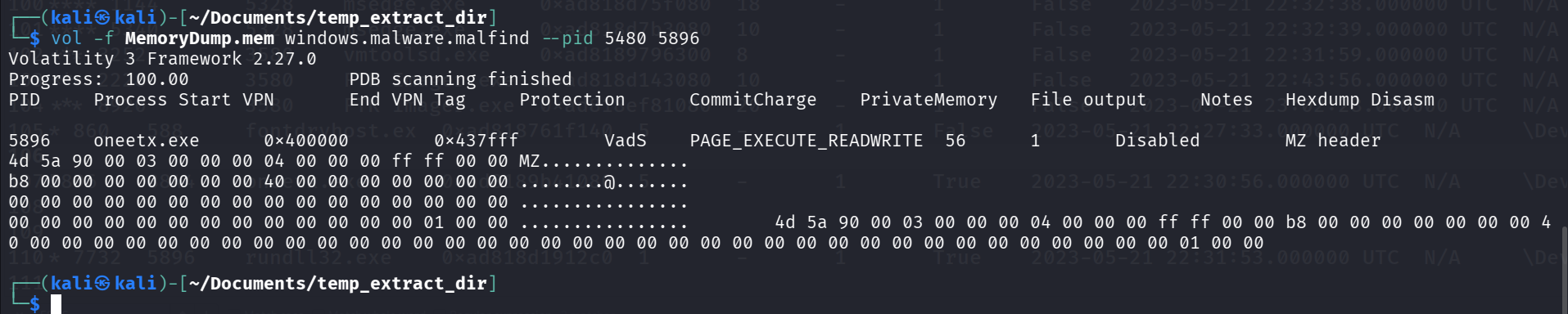 Memory protection analysis showing PAGE_EXECUTE_READWRITE flags on a memory segment.