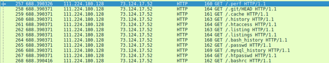 Wireshark packet list showing Gobuster GET requests targeting sensitive dotfiles like .git/HEAD, .htaccess, .bash_history, and .passwd.