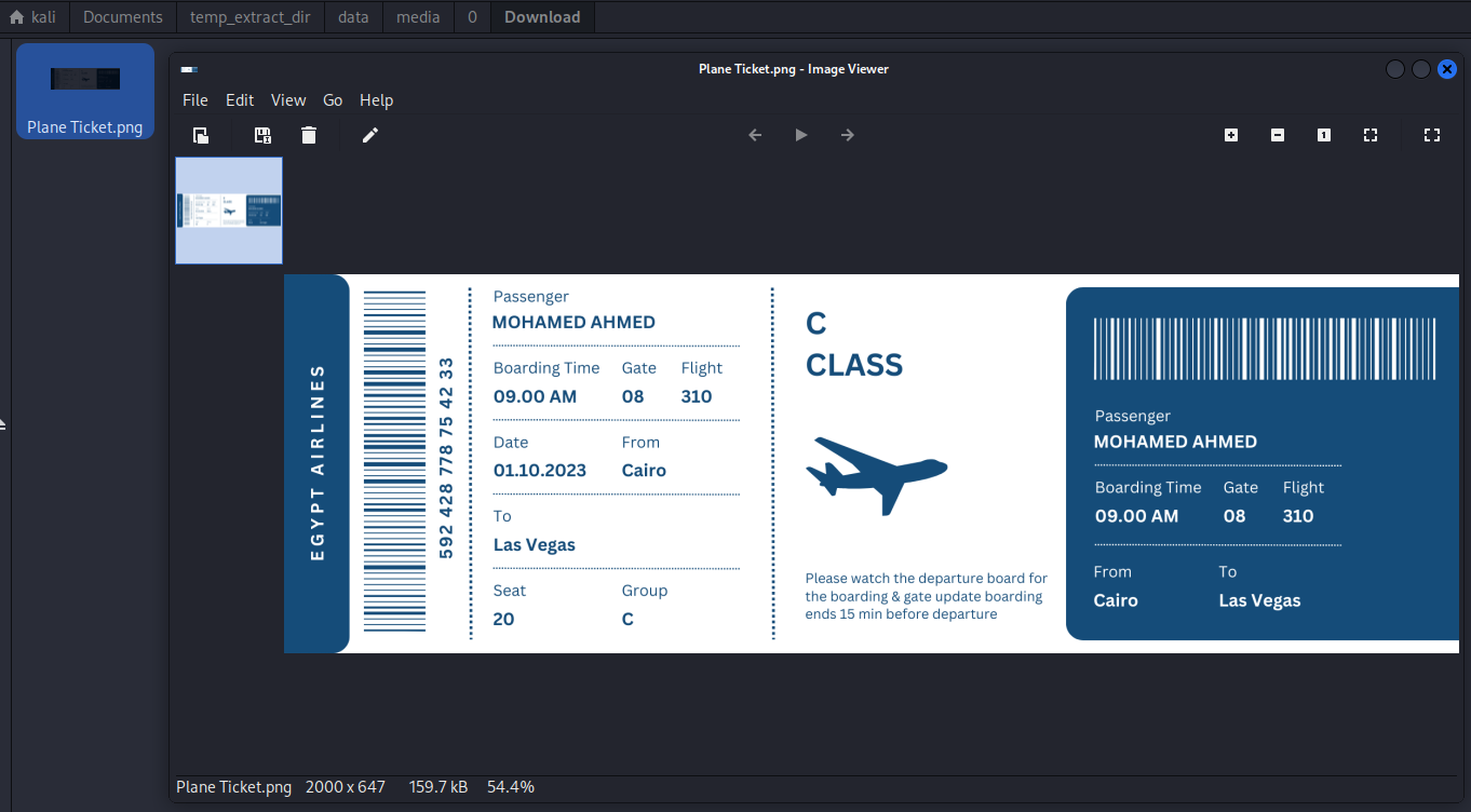 Recovered boarding pass image (Plane Ticket.png) from the victim's Download folder showing an Egypt Airlines flight with the destination clearly printed as Las Vegas — establishing the victim's planned travel itinerary shortly before the incident.