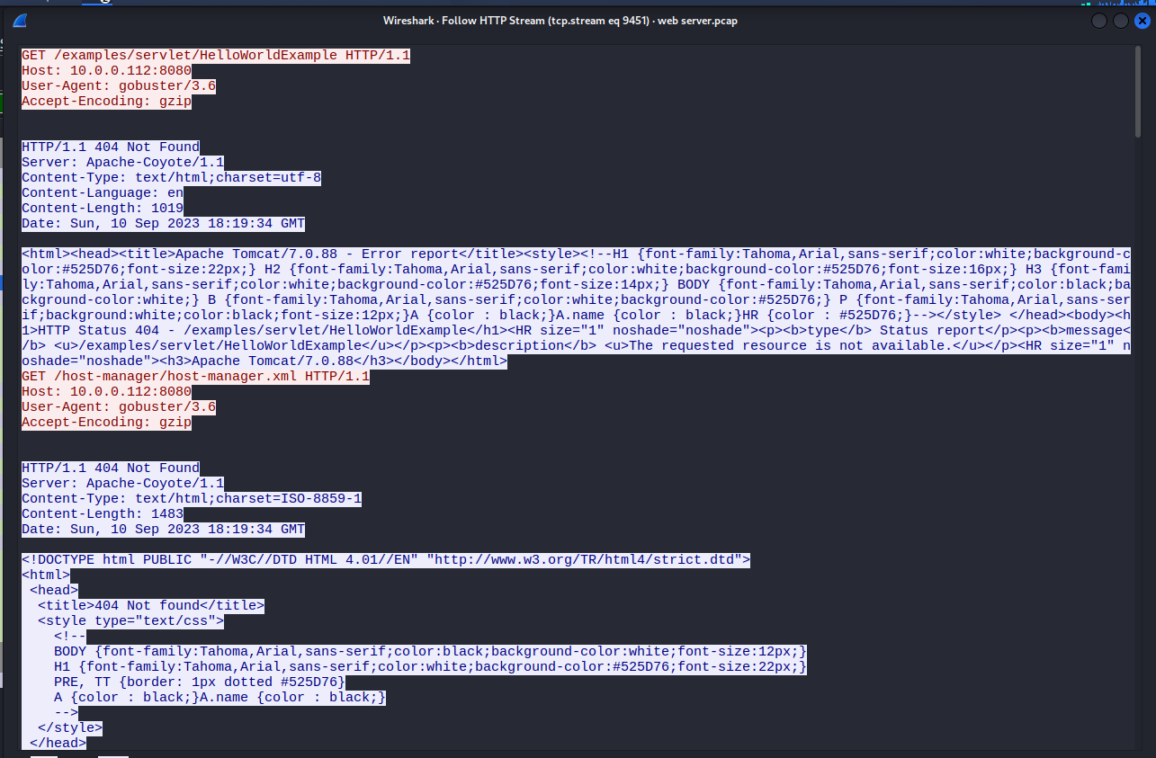 Wireshark HTTP stream showing Gobuster 3.6 User-Agent with 404 Not Found responses from Apache-Coyote/1.1 (Tomcat 7.0.88).